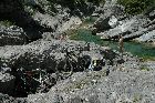 DSC_5075.JPG